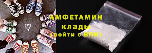 крисы Инта