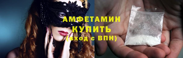 крисы Инта