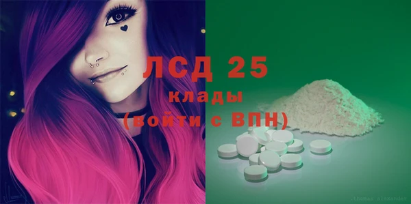 крисы Инта