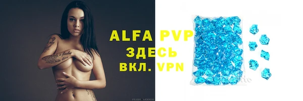 спиды Иннополис
