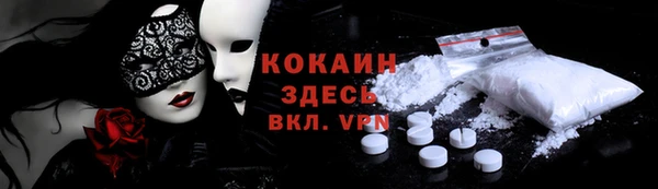 крисы Инта