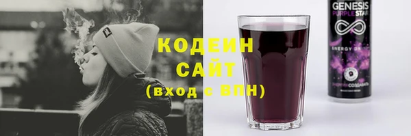 спиды Иннополис