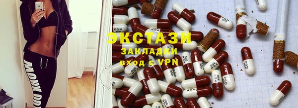 крисы Инта