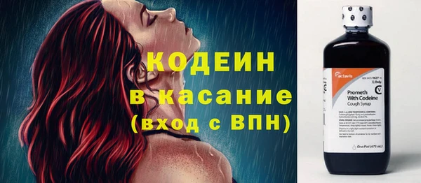 крисы Инта